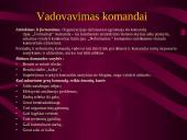 Administratoriaus tipažas 8 puslapis