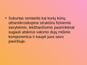 Adsorbcinis valymo metodas 2 puslapis