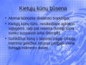 Agregatinės būsenos 4 puslapis