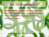 Aminorūgščių rezorbcija ir perneša į ląsteles 2 puslapis