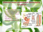 Aminorūgščių rezorbcija ir perneša į ląsteles 4 puslapis