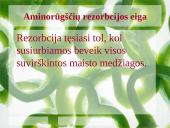 Aminorūgščių rezorbcija ir perneša į ląsteles 5 puslapis