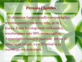 Aminorūgščių rezorbcija ir perneša į ląsteles 7 puslapis