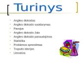 Anglies dioksido žala organizmui 2 puslapis