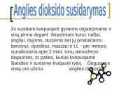 Anglies dioksido žala organizmui 4 puslapis