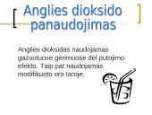 Anglies dioksido žala organizmui 7 puslapis