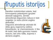 Anglies dioksido žala organizmui 10 puslapis