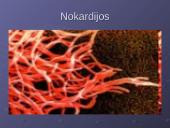 Antibiotikoterapija esant imunodeficitinėm būklėm 7 puslapis