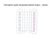 Ar gali tuštuma turėti energijos? 8 puslapis