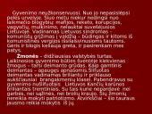 Atplėšti nuo tėvynės, bet išlikę... 13 puslapis