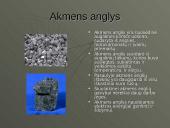 Atsinaujinantys ir neatsinaujinantys energijos šaltiniai 8 puslapis