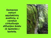 Augalai ir augalų tipai 5 puslapis