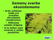 Augalai ir augalų tipai 7 puslapis