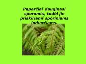 Augalai ir augalų tipai 9 puslapis