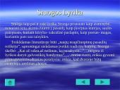 Balys Sruoga (1896-1947m.). Gyvenimas ir kūryba  7 puslapis