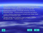 Balys Sruoga (1896-1947m.). Gyvenimas ir kūryba  8 puslapis