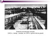 Balys Sruoga skaidrės 17 puslapis