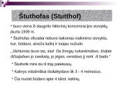 Balio Sruogos biografija bei "Dievų miškas" 8 puslapis