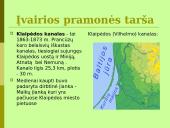 Baltijos jūros ekologinės problemos 12 puslapis