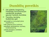 Baltijos jūros ekologinės problemos 15 puslapis