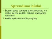 Baltijos jūros ekologinės problemos 17 puslapis