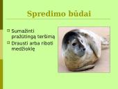 Baltijos jūros ekologinės problemos 19 puslapis