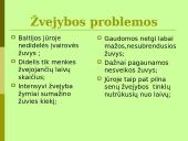 Baltijos jūros ekologinės problemos 20 puslapis
