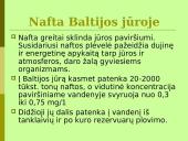 Baltijos jūros ekologinės problemos 7 puslapis