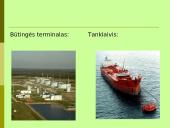 Baltijos jūros ekologinės problemos 8 puslapis