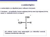 Baltymai žmoguje 2 puslapis