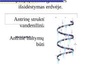 Baltymai žmoguje 12 puslapis