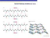 Baltymai žmoguje 14 puslapis