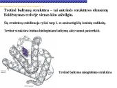 Baltymai žmoguje 15 puslapis