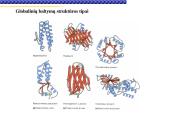 Baltymai žmoguje 18 puslapis