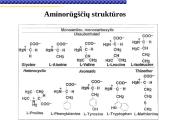 Baltymai žmoguje 5 puslapis