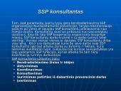 Bendradarbiavimo prevenciniame darbe modelių ypatumai 12 puslapis