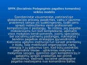 Bendradarbiavimo prevenciniame darbe modelių ypatumai 13 puslapis