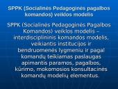 Bendradarbiavimo prevenciniame darbe modelių ypatumai 14 puslapis