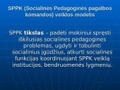 Bendradarbiavimo prevenciniame darbe modelių ypatumai 15 puslapis