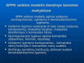 Bendradarbiavimo prevenciniame darbe modelių ypatumai 17 puslapis