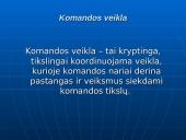 Bendradarbiavimo prevenciniame darbe modelių ypatumai 20 puslapis