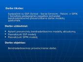 Bendradarbiavimo prevenciniame darbe modelių ypatumai 3 puslapis
