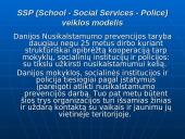 Bendradarbiavimo prevenciniame darbe modelių ypatumai 4 puslapis