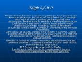 Bendradarbiavimo prevenciniame darbe modelių ypatumai 5 puslapis