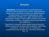 Bendradarbiavimo prevenciniame darbe modelių ypatumai 6 puslapis