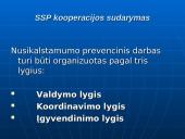 Bendradarbiavimo prevenciniame darbe modelių ypatumai 8 puslapis