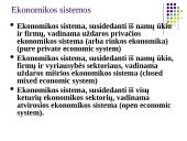 Bendrasis vidaus produktas (Gross domestic product) 11 puslapis