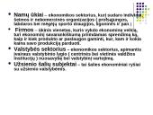 Bendrasis vidaus produktas (Gross domestic product) 10 puslapis