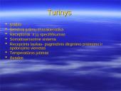 Bendroji jutimų charakteristika. Receptoriai ir specifiškumas. Temperatūros jutimas. Poikilotermai ir homotermai 2 puslapis