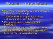 Bendroji jutimų charakteristika. Receptoriai ir specifiškumas. Temperatūros jutimas. Poikilotermai ir homotermai 5 puslapis